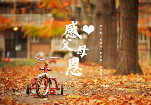 感恩父母的唯美短句