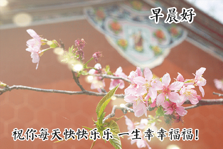 幸福每一天的寄语