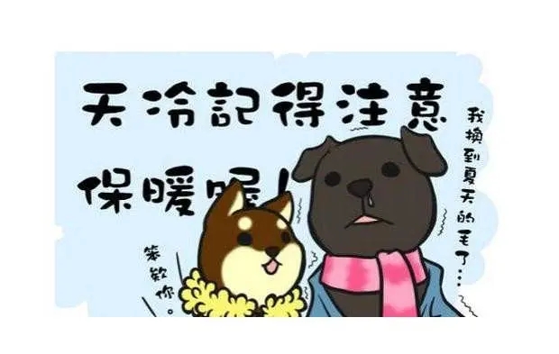 描写天气凉快的句子文案