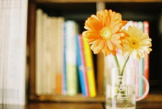 怎样用反语写一句话