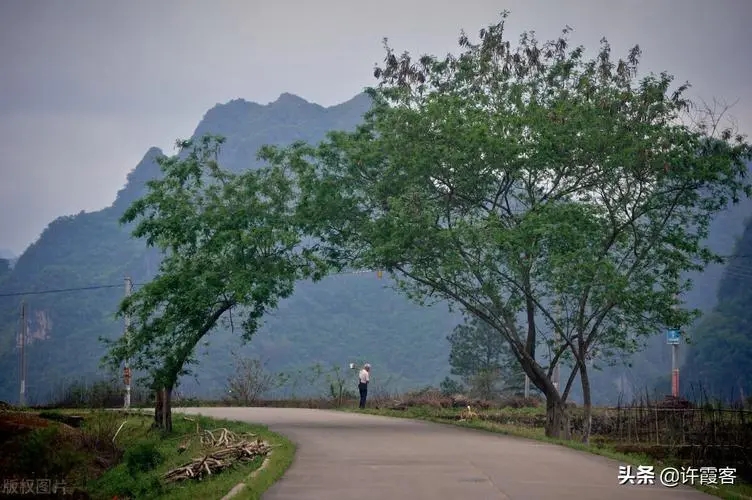 怀念从小长大生活的老家句子文案