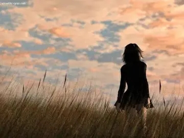 静下心来的优美句子文案