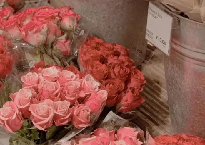 表达自己很没用的句子文案