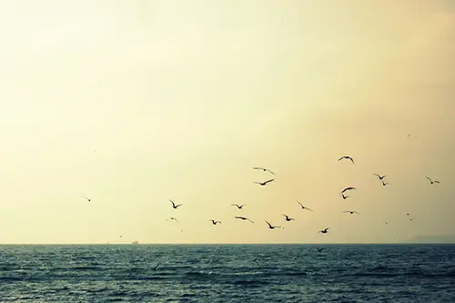 看透却要装傻的句子文案