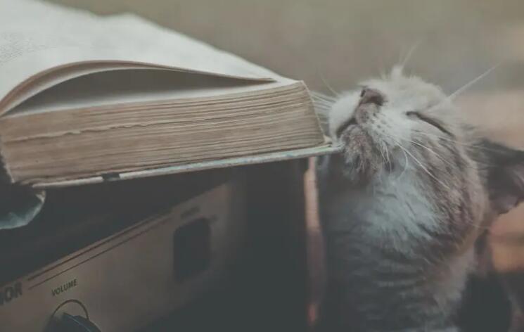 心情低落适合发朋友圈的句子文案