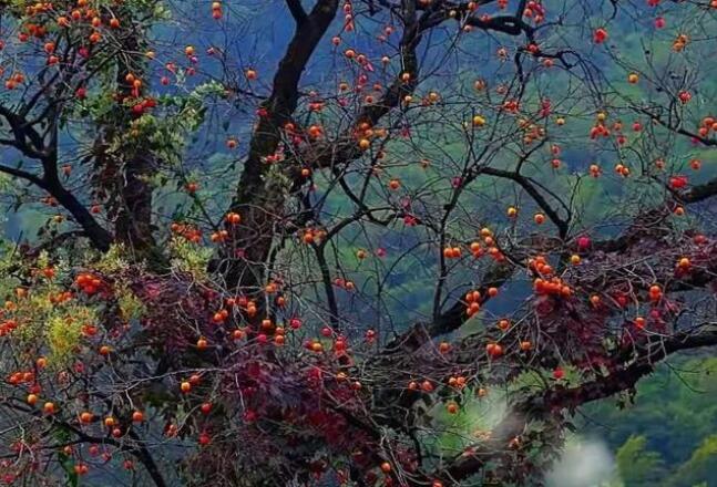 记录周末时光的说说文案