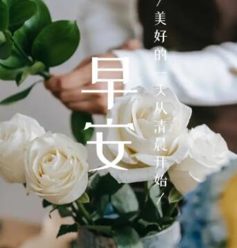 早安励志正能量的句子文案