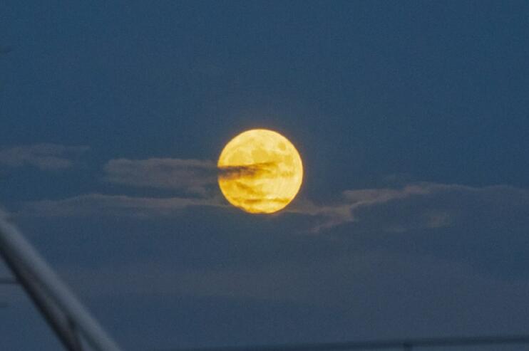 伤心唯美古风情感语录文案