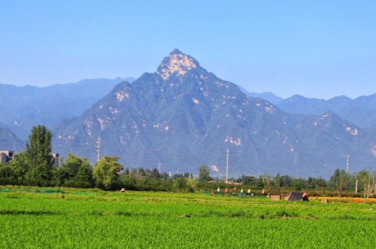 蓝天白云绿树红花的诗句文案