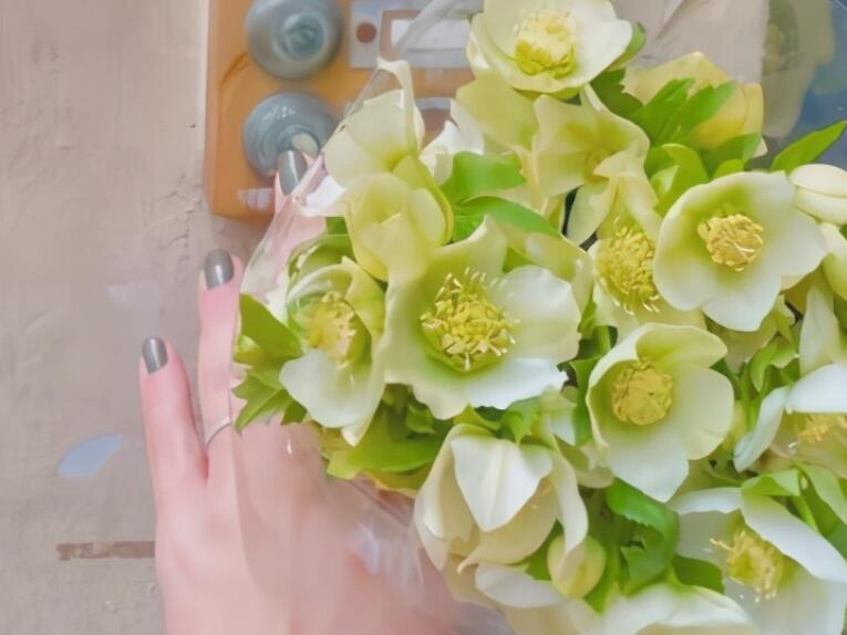 关于怀念高中生活的句子文案