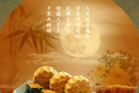 有关团聚的美句