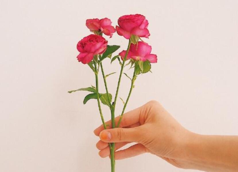 每日最新早安祝福语