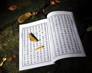 忏悔的佛经句子文案