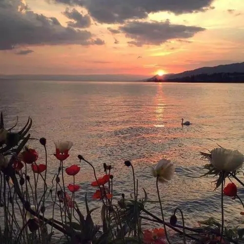 带有山海的文艺句子文案