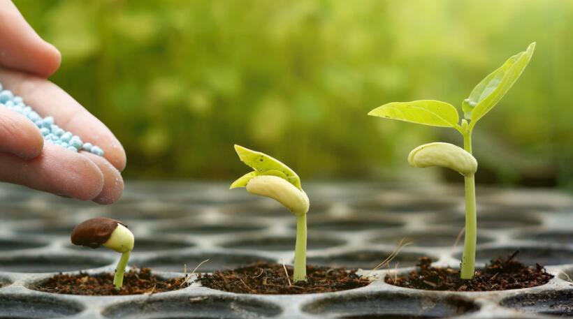 形容心境淡然与世无争的句子文案