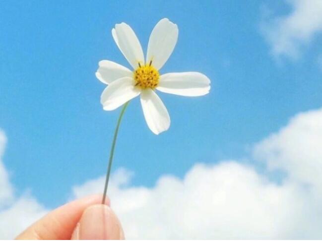 最温暖的早安心语