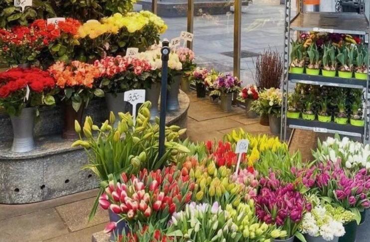 极端悲伤的句子文案