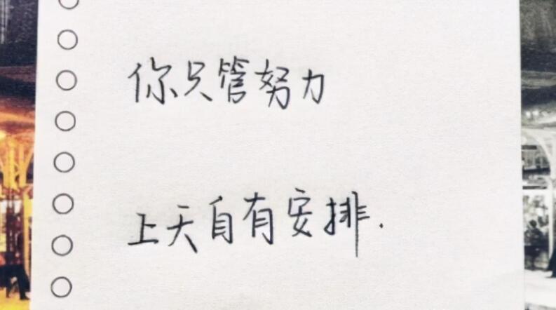 让学生努力拼搏的句子文案