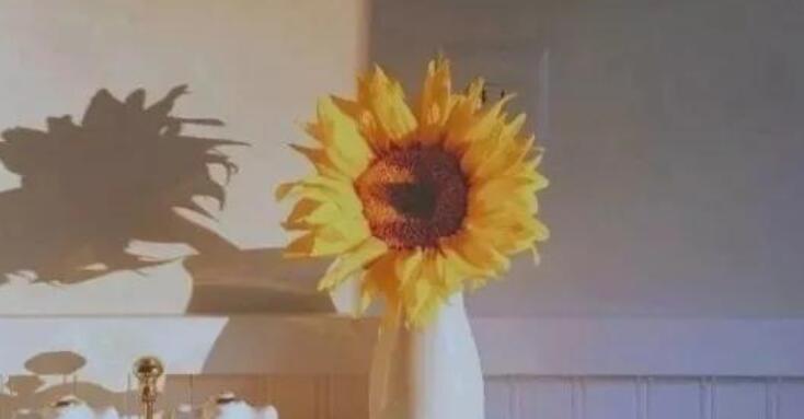 抄写优美词语和句子文案