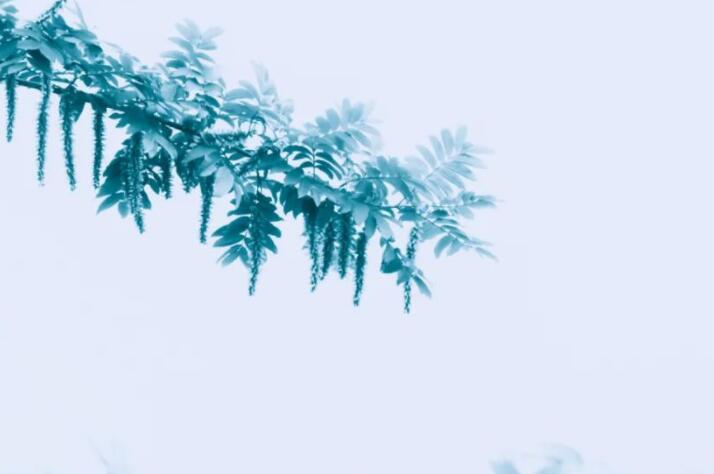 形容一切不过如此的诗句文案