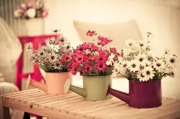 大胆尝试的名言名句文案