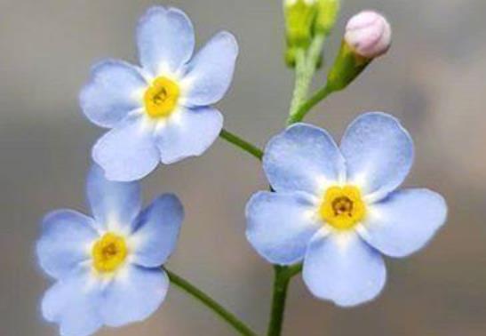 关于七月的唯美句子文案