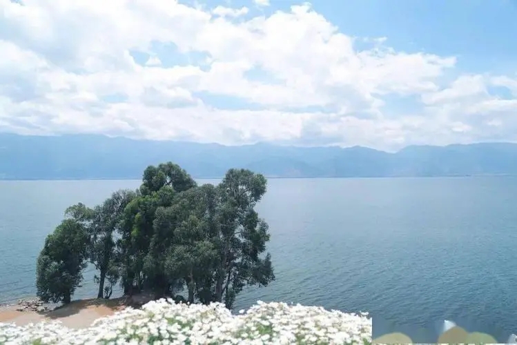 悲喜自渡好句文案摘抄