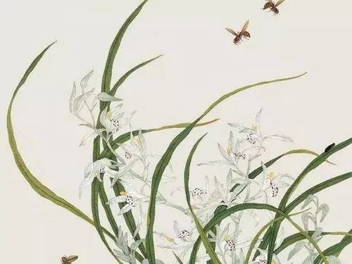 形容兰花淡雅的诗句文案