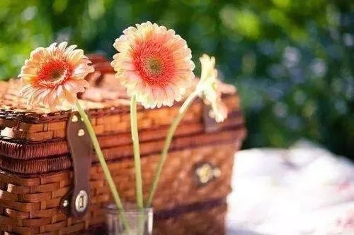 嫁对人幸福的句子文案