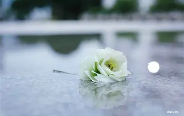 父亲过世的悲痛的语句文案