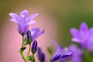 调整好心态的句子文案正能量