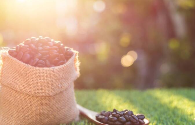 早安和好友暖心句子文案