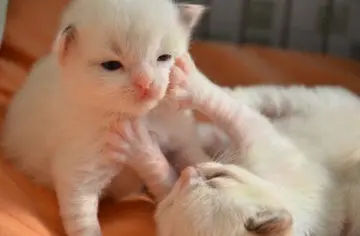 上班幽默搞笑的句子文案