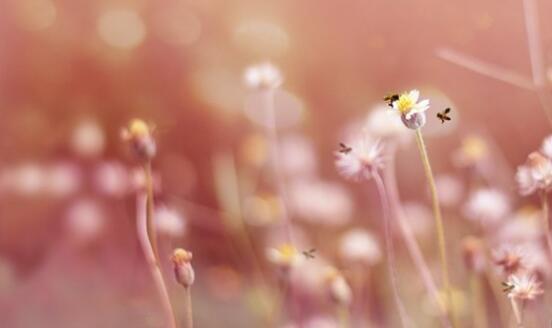 改变自己的句子文案