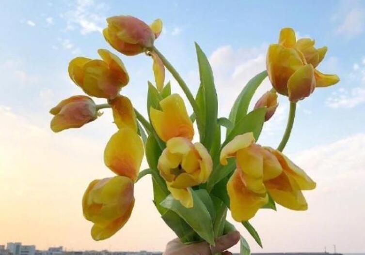 正能量经典短句