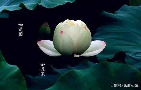 20句因果报应经典语录文案