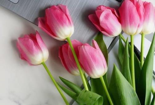 康复祝福语大全简短