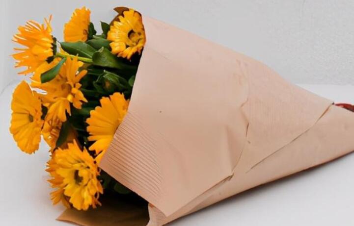 闪闪发光的优美句子文案