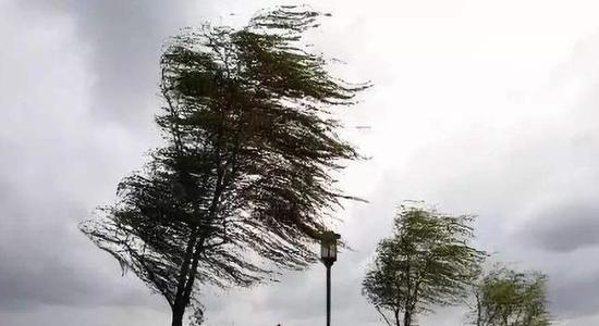 描写刮大风的诗句文案