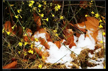 三月下雪的唯美句子文案