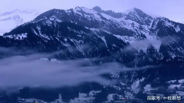 感恩节祝福经典语录文案