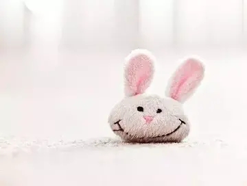 关于冲动的朋友圈