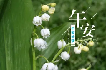 午安心语2024最新