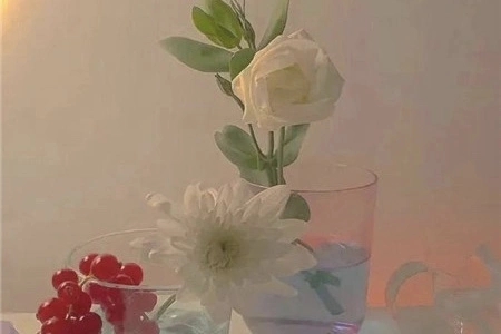 安慰别人累的幽默句子文案