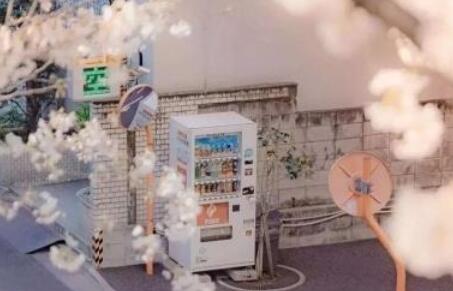 特别的好句子文案