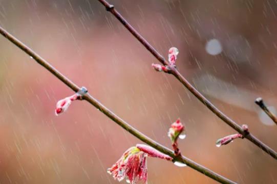 雨天的诗句文案
