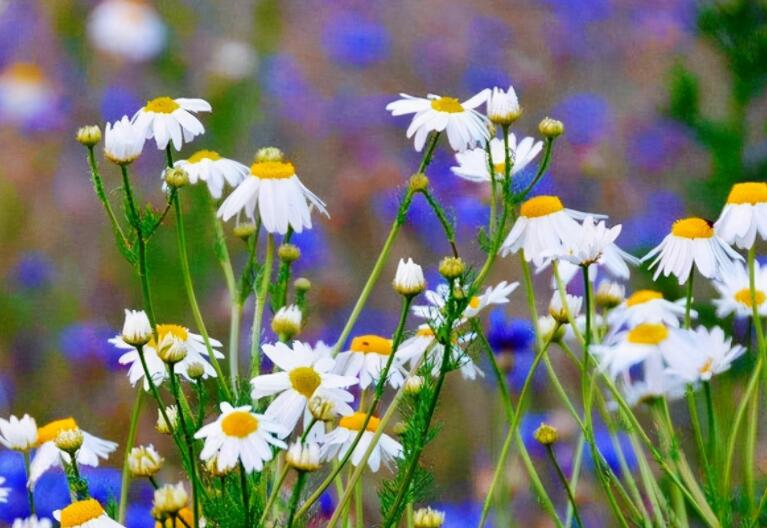 儿子长大成熟懂事说说文案