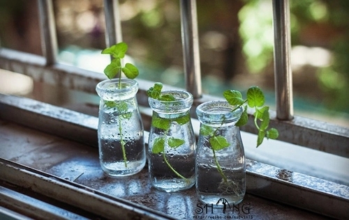 送朋友杯子的祝福语简单