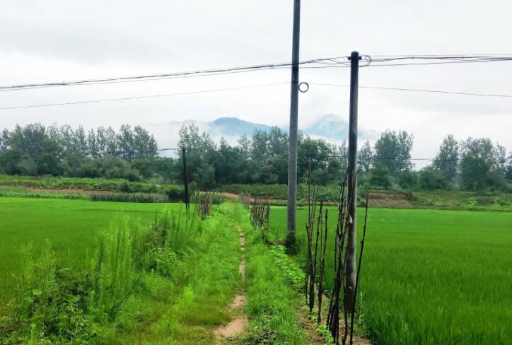 回到乡下的感受句子文案