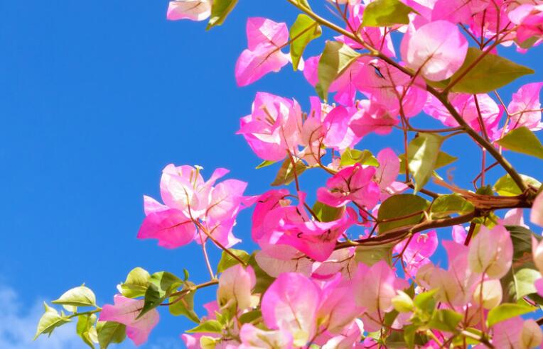 抖音发自己照片的正能量句子文案